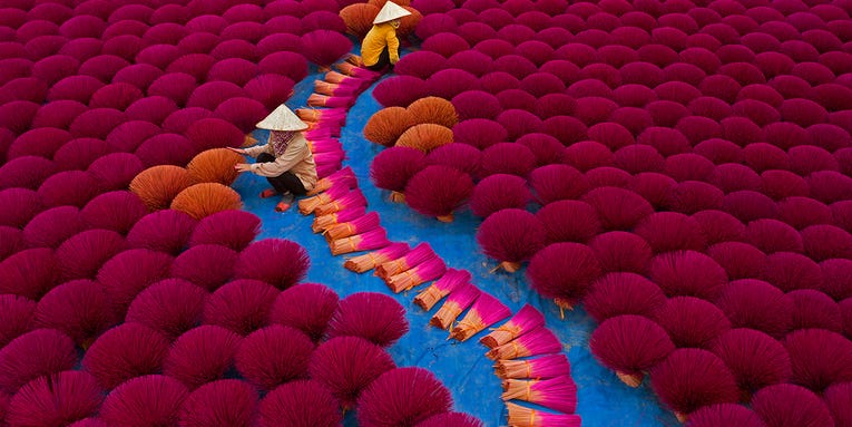 Immerse yourself in some of the most colorful photographs of 2021