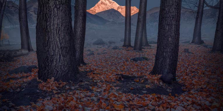 Dreamy vistas dominate the 2021 International Landscape Photographer of the Year awards