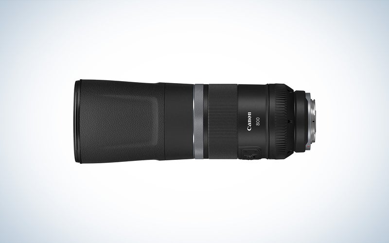 Canon RF 800mm f/11 IS STM Lens