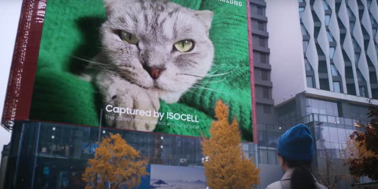 Me(w)ow! Samsung’s new 200-megapixel smartphone sensor shot this larger-than-life-cat print Me(w)ow! Samsung’s new 200-megapixel smartphone sensor shot this larger-than-life-cat print
