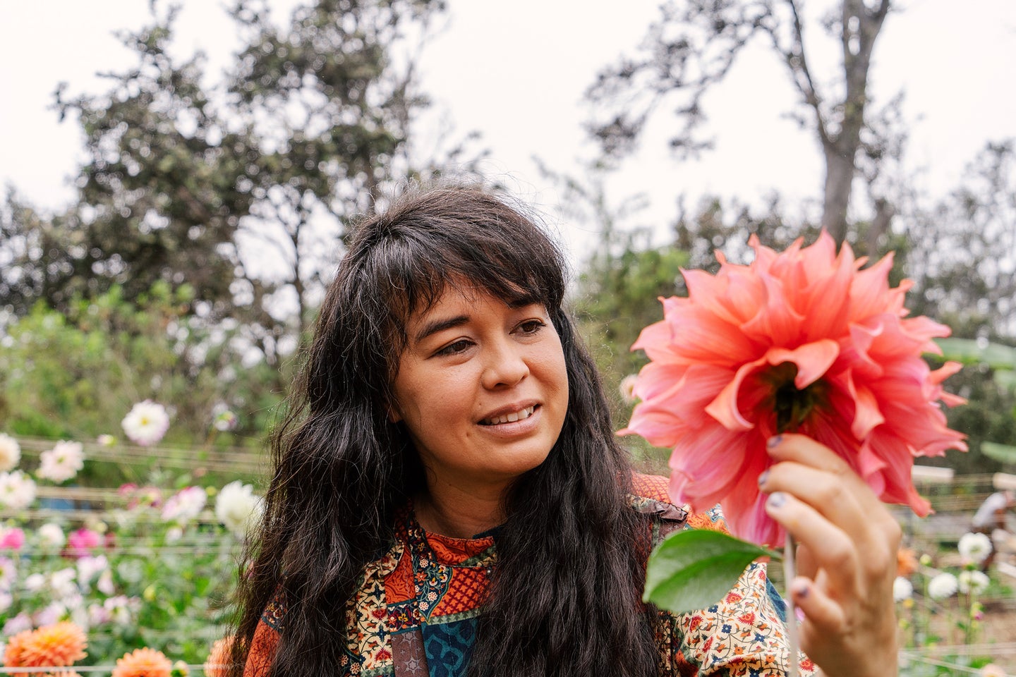 A woman holds a red dahlia flower