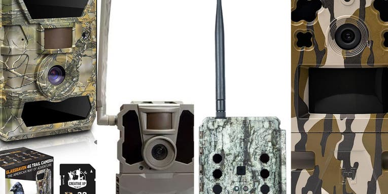 The best cellular trail cameras of 2023